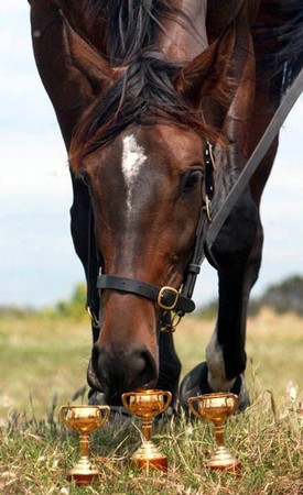 Melbourne Cup Lunch 2023